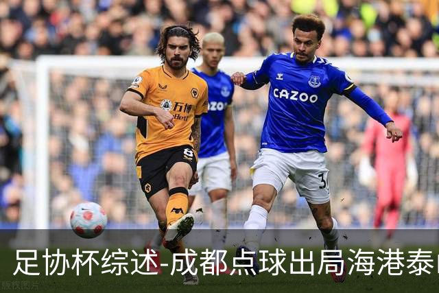 足协杯综述-成都点球出局海港泰山晋级 申花大胜