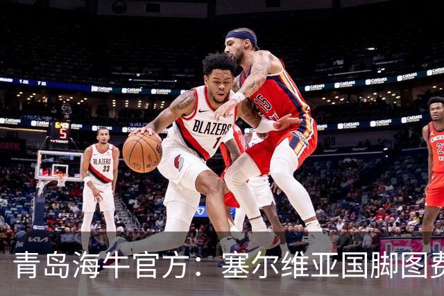 青岛海牛官方：塞尔维亚国脚图费格季奇加盟球队