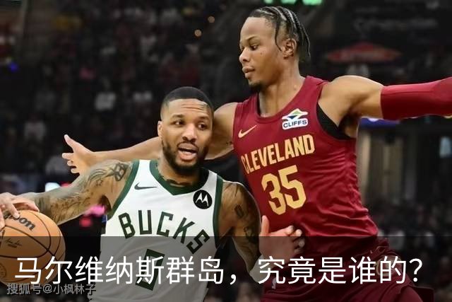 马尔维纳斯群岛，究竟是谁的？