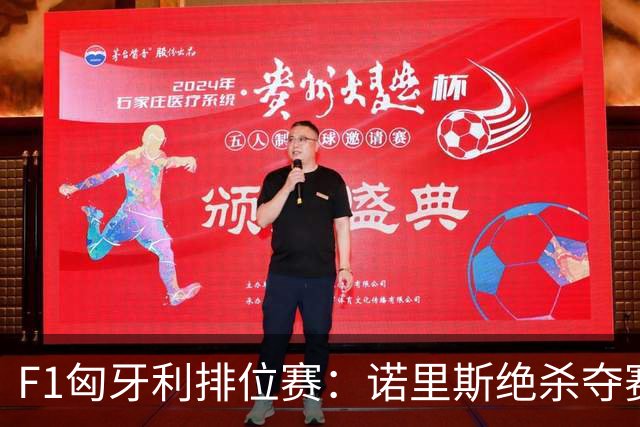 F1匈牙利排位赛：诺里斯绝杀夺赛季正赛首杆，汉密尔顿第二